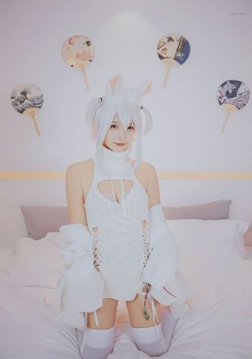 成人动画片免费观看大全_BD高清视频播放
