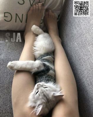 交换爱人_BD国语在线播放